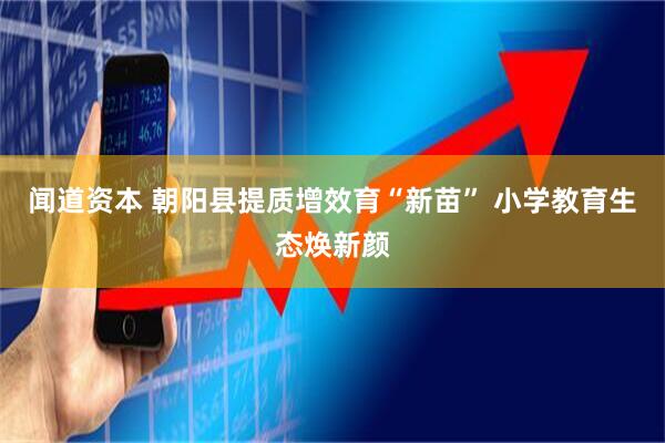 闻道资本 朝阳县提质增效育“新苗” 小学教育生态焕新颜