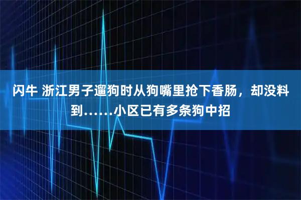 闪牛 浙江男子遛狗时从狗嘴里抢下香肠，却没料到……小区已有多条狗中招