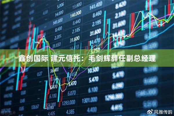 鑫创国际 建元信托：毛剑辉辞任副总经理