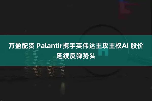 万盈配资 Palantir携手英伟达主攻主权AI 股价延续反弹势头